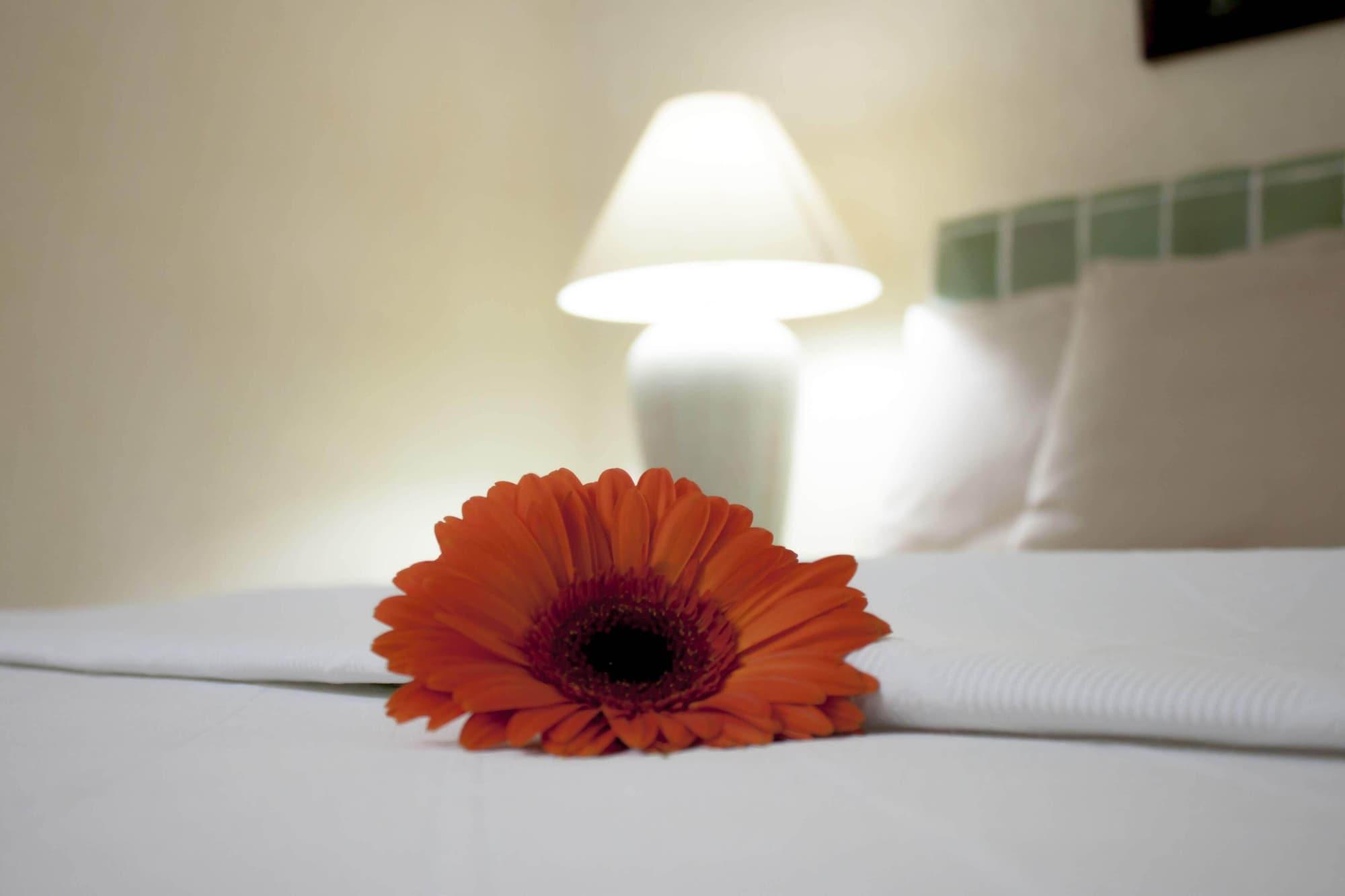 Coral Ixtapa Hotel Ixtapa  Bagian luar foto
